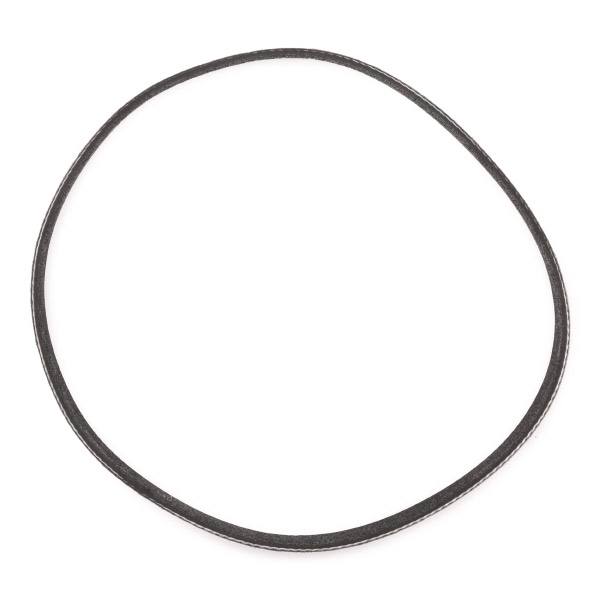 V-ribbed Belt