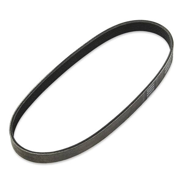 V-ribbed Belt