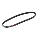 V-ribbed Belt