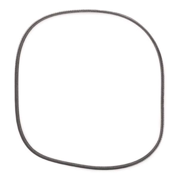 V-ribbed Belt