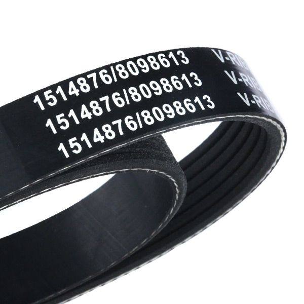 V-ribbed Belt