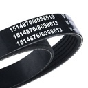 V-ribbed Belt