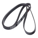 V-ribbed Belt