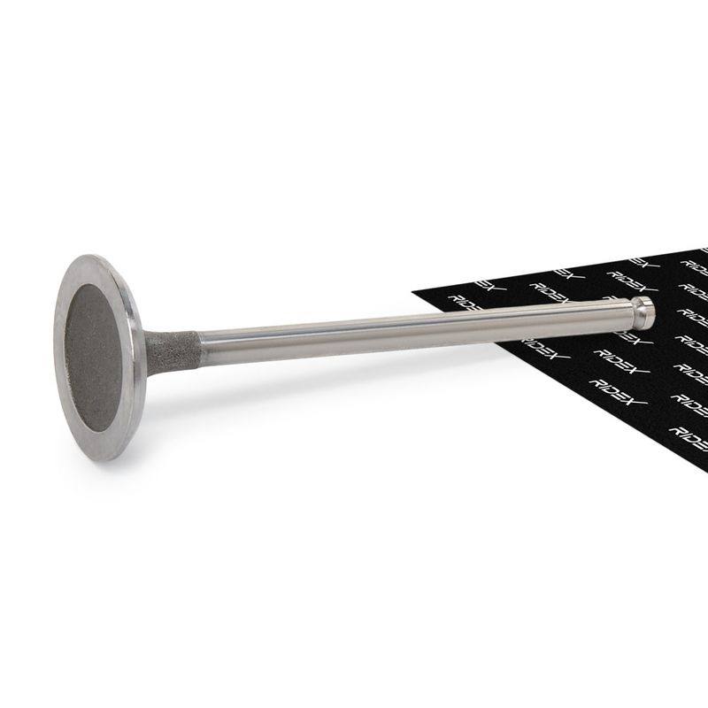 Intake Valve