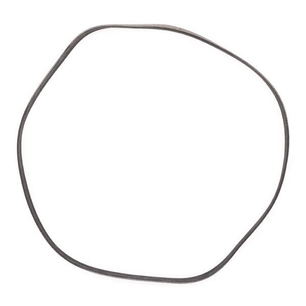 V-ribbed Belt