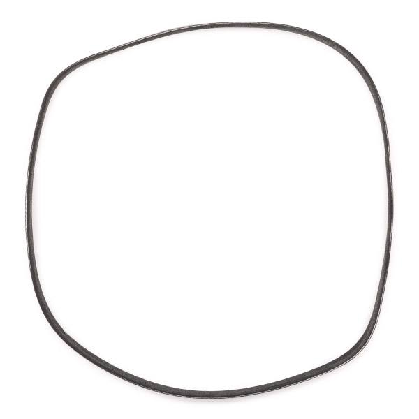 V-ribbed Belt