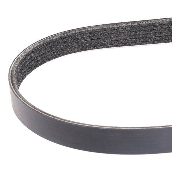 V-ribbed Belt