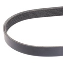V-ribbed Belt