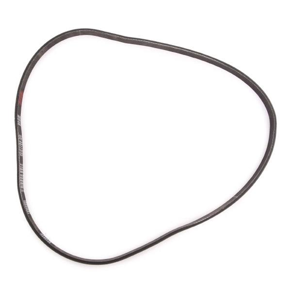 V-ribbed Belt