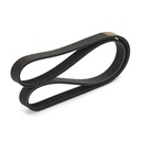 V-ribbed Belt