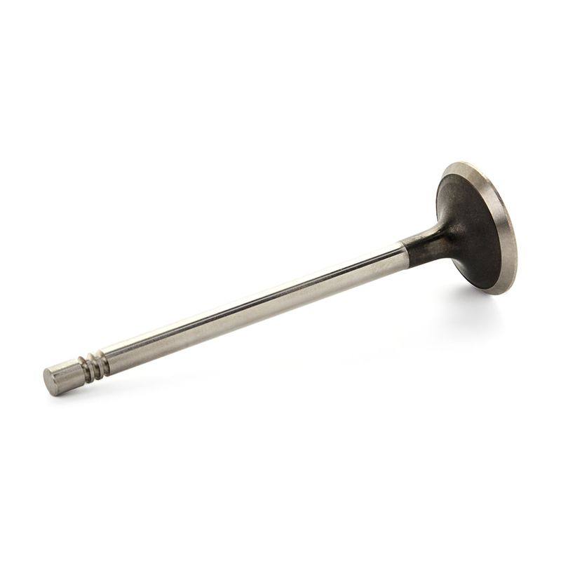 Exhaust Valve