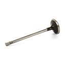 Exhaust Valve
