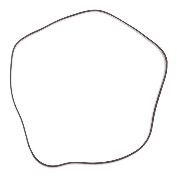 V-ribbed Belt