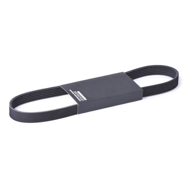 V-ribbed Belt