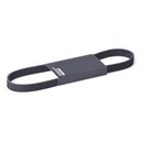 V-ribbed Belt