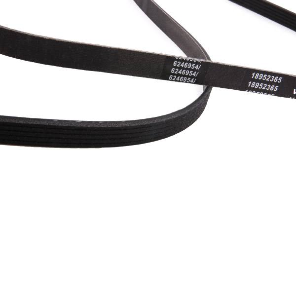 V-ribbed Belt