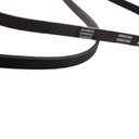 V-ribbed Belt