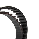 Timing Belt