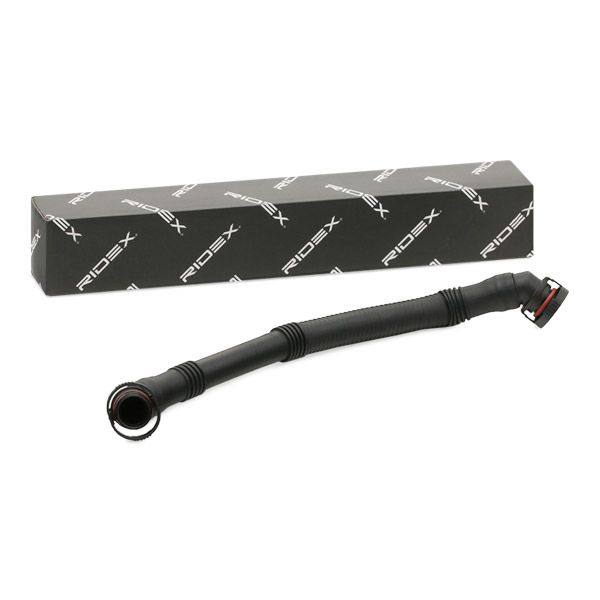 Hose, crankcase ventilation