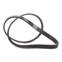 V-ribbed Belt