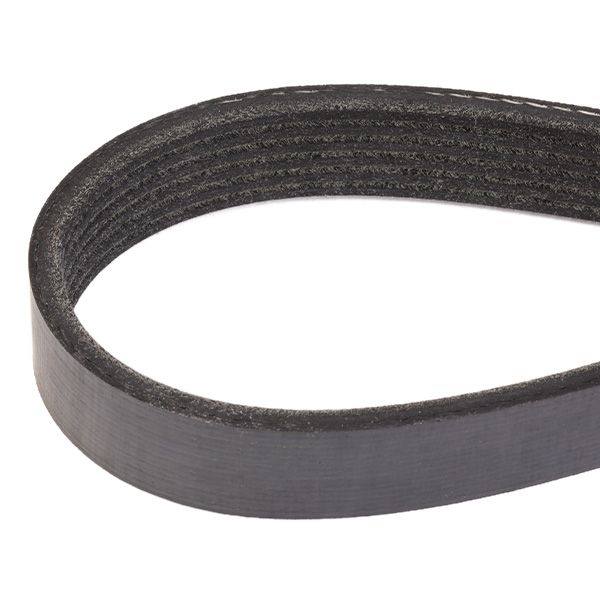 V-ribbed Belt