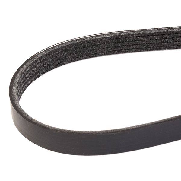 V-ribbed Belt