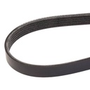 V-ribbed Belt