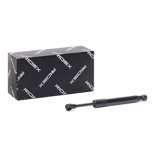 Gas Spring, boot/cargo area