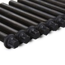 Cylinder Head Bolt Set