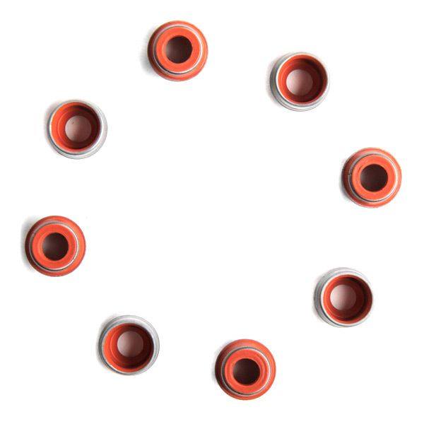 Seal Set, valve stem