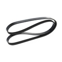 V-ribbed Belt
