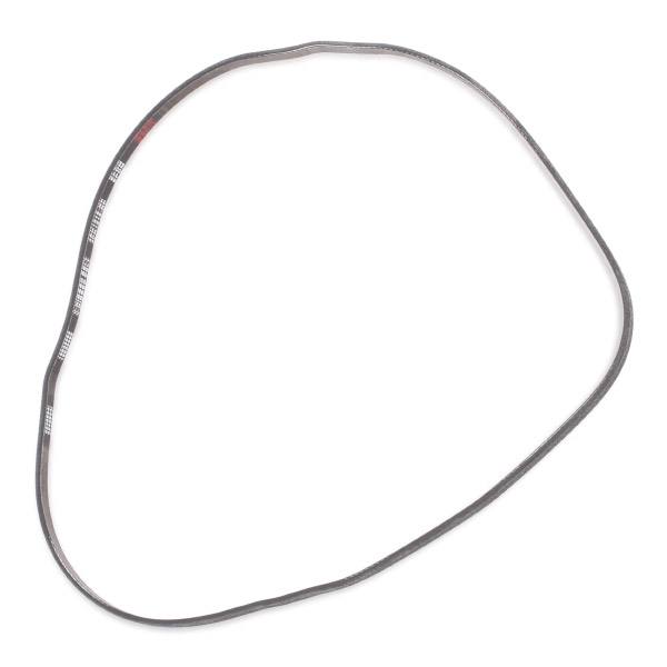 V-ribbed Belt