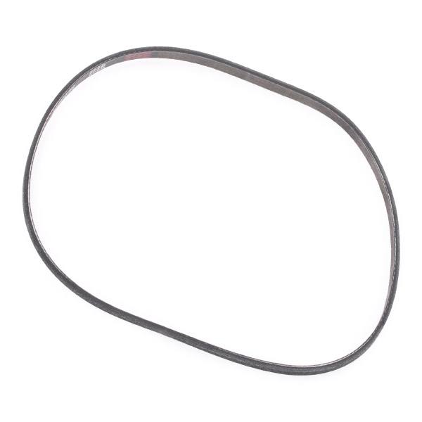 V-ribbed Belt