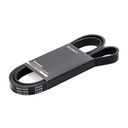 V-ribbed Belt