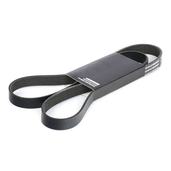 V-ribbed Belt