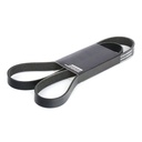 V-ribbed Belt