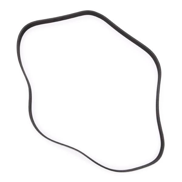 V-ribbed Belt