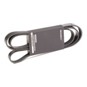 V-ribbed Belt