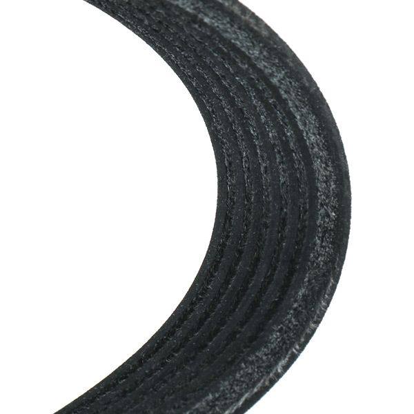 V-ribbed Belt