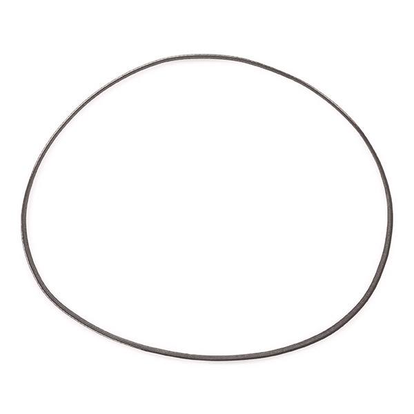 V-ribbed Belt