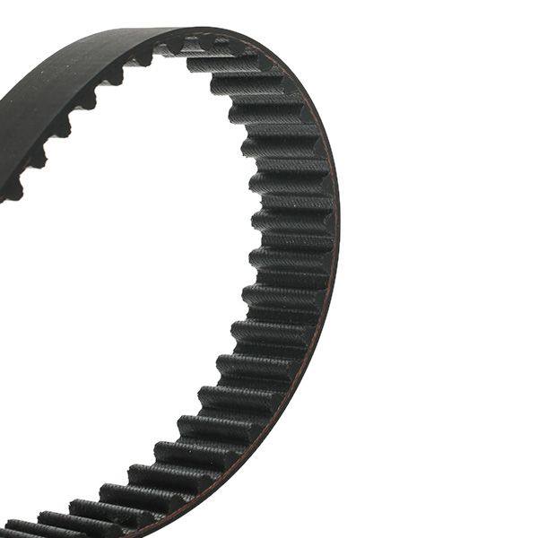 Timing Belt