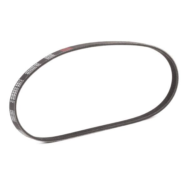 V-ribbed Belt