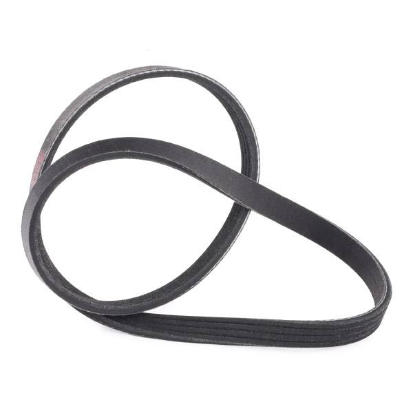 V-ribbed Belt