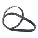 V-ribbed Belt