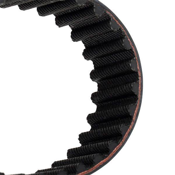 Timing Belt