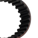 Timing Belt