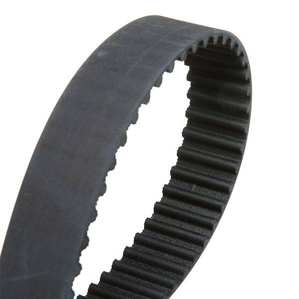 Timing Belt