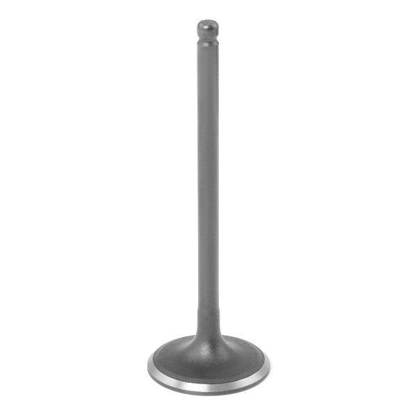 Intake Valve