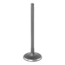 Intake Valve