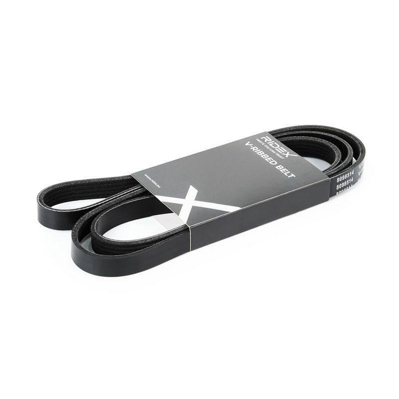 V-ribbed Belt